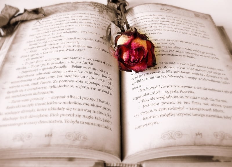 Quiet Reading
